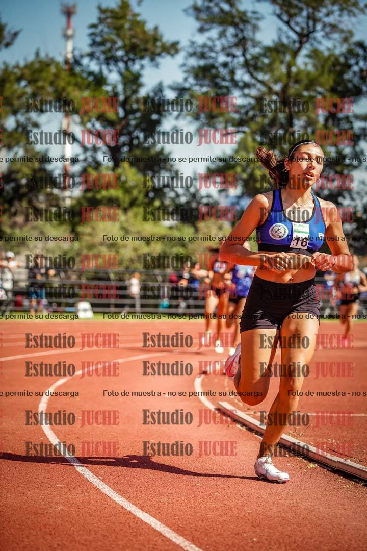 Fotos de los 800 m llanos de mujeres