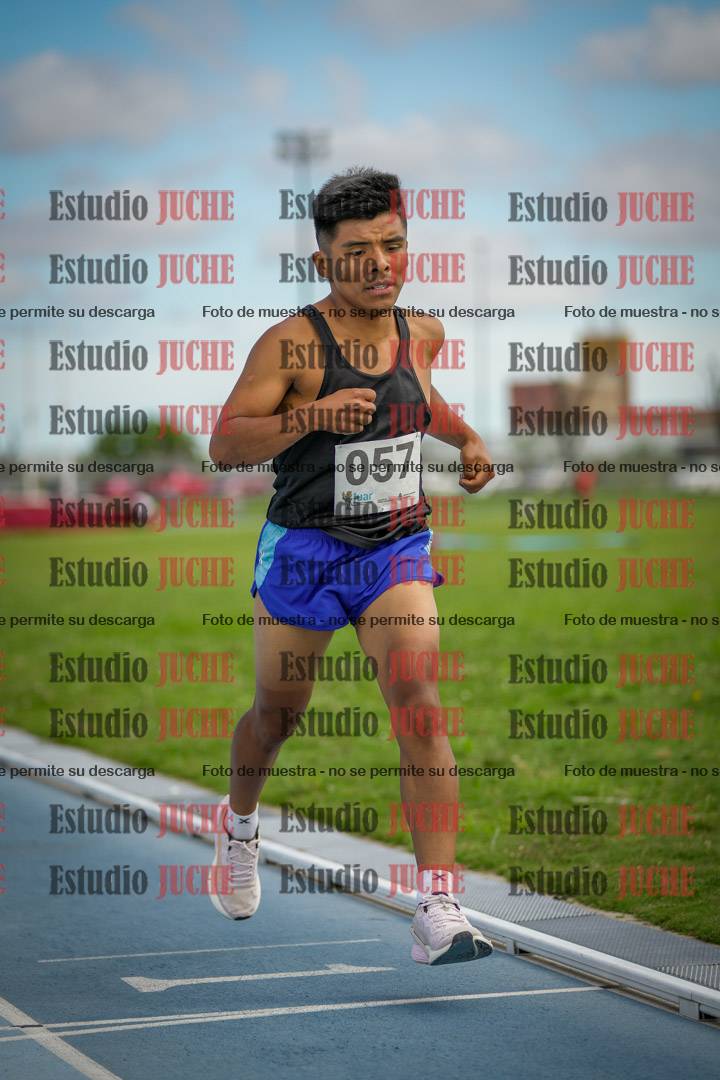 Fotos de los 1000 m llanos de varones