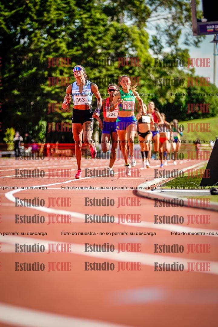 Fotos de los 800 m llanos de mujeres - FINAL