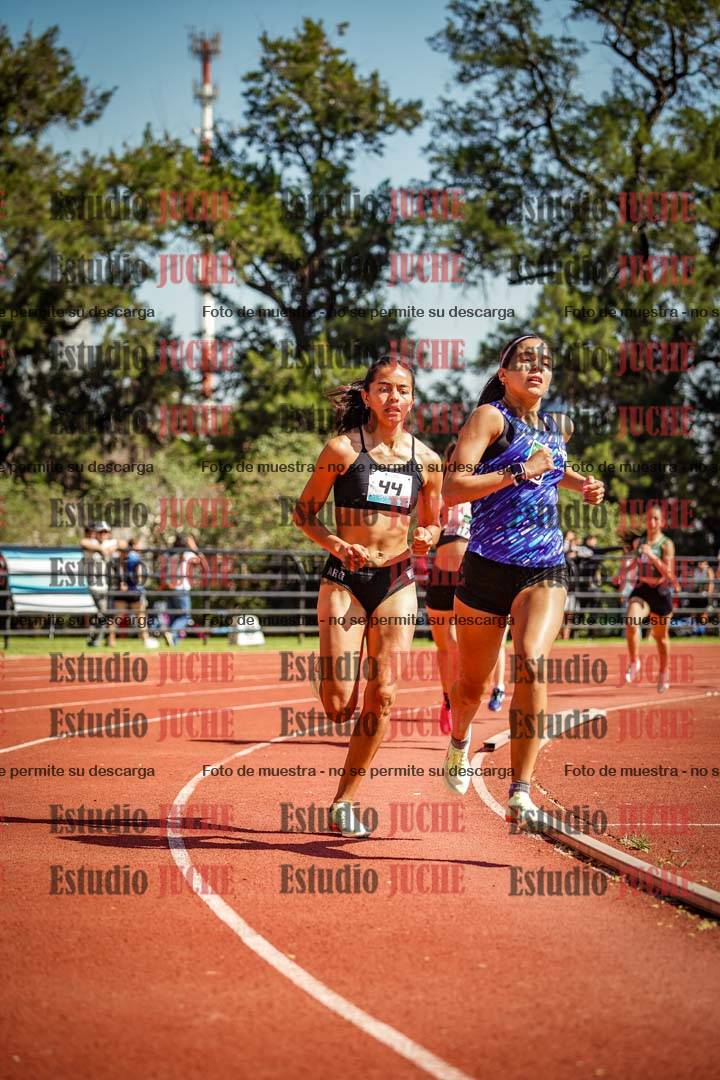 Fotos de los 800 m llanos de mujeres