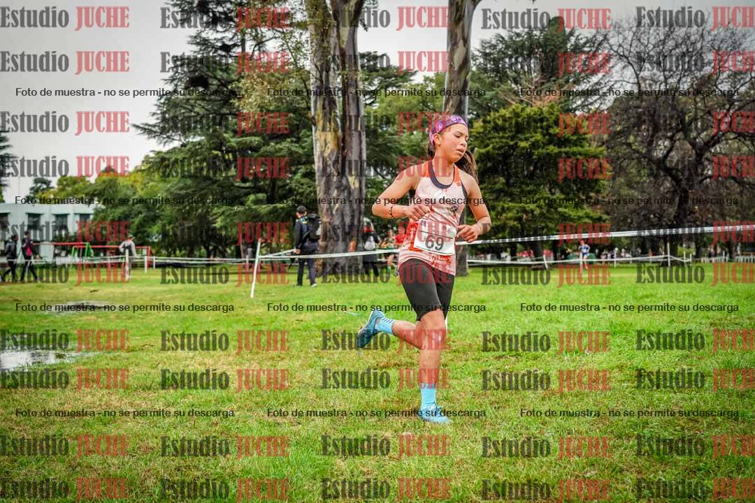 Fotos en el circuito