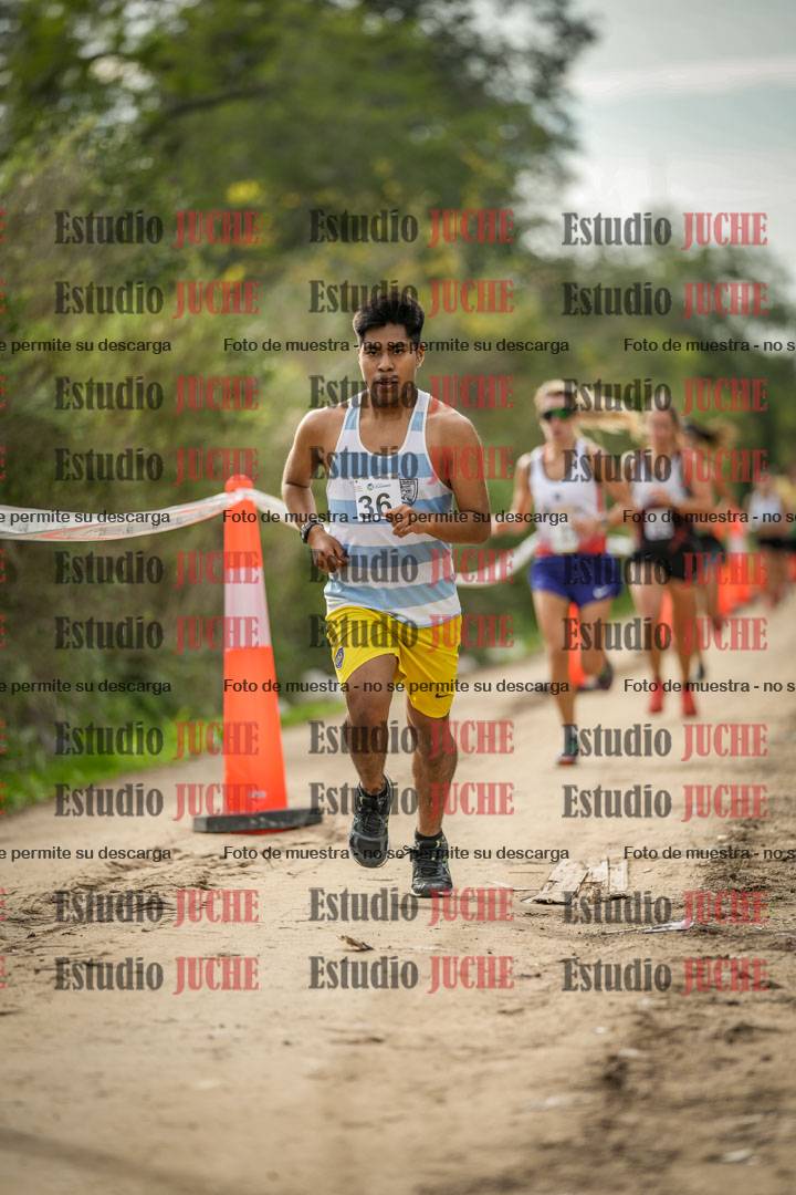 Fotos en el circuito