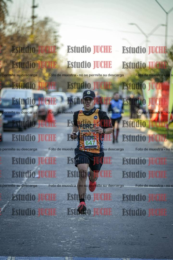 Fotos de las llegadas