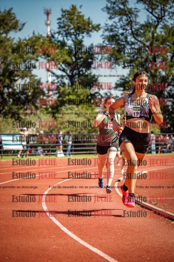 Fotos de los 800 m llanos de mujeres