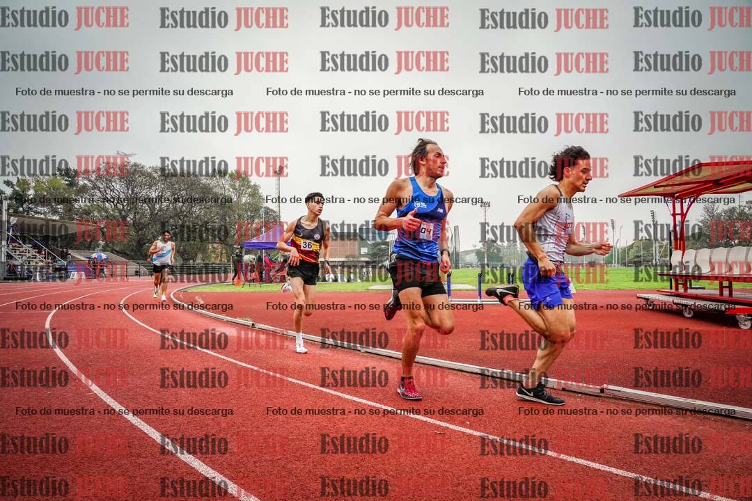 Fotos de los 800 m llanos de varones