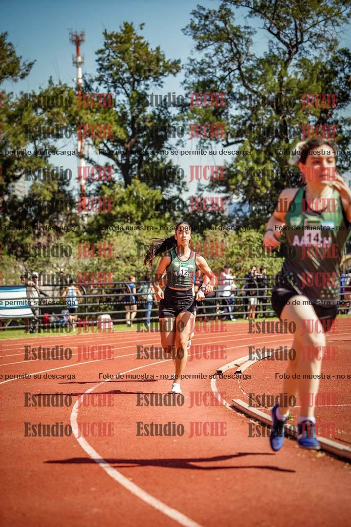 Fotos de los 800 m llanos de mujeres