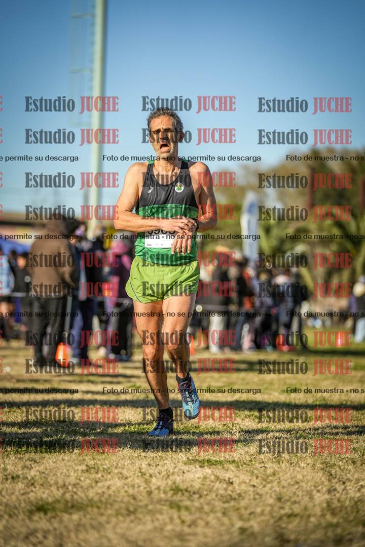 Fotos de las llegadas