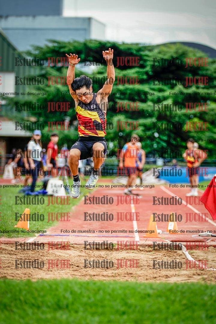 Fotos del salto en largo de varones