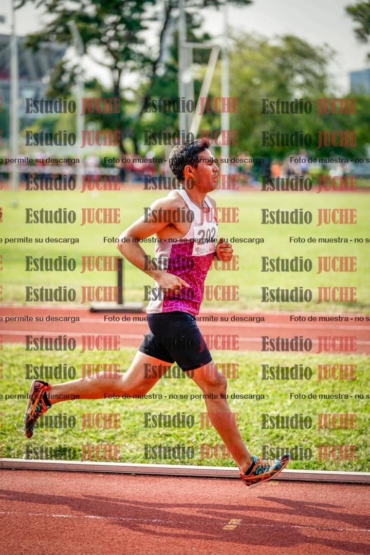 Fotos de los 3000 m llanos de varones