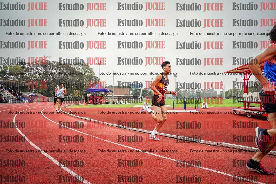 Fotos de los 800 m llanos de varones
