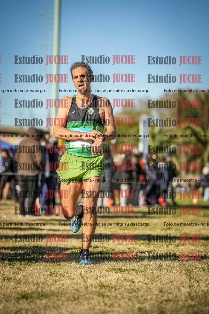 Fotos de las llegadas
