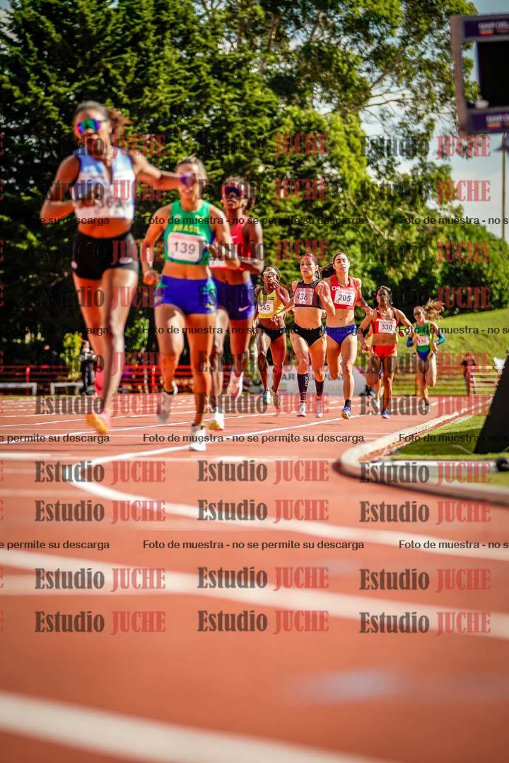 Fotos de los 800 m llanos de mujeres - FINAL