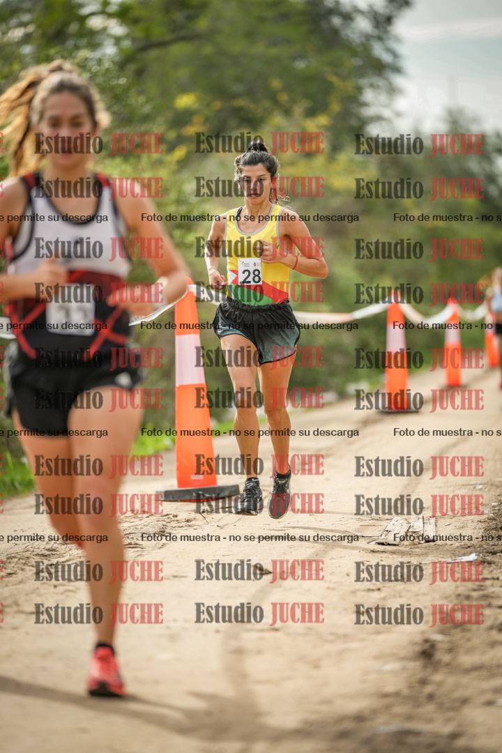 Fotos en el circuito