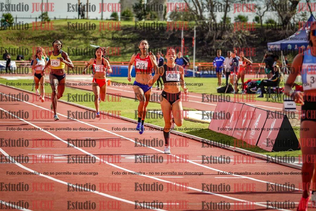 Fotos de los 800 m llanos de mujeres - FINAL