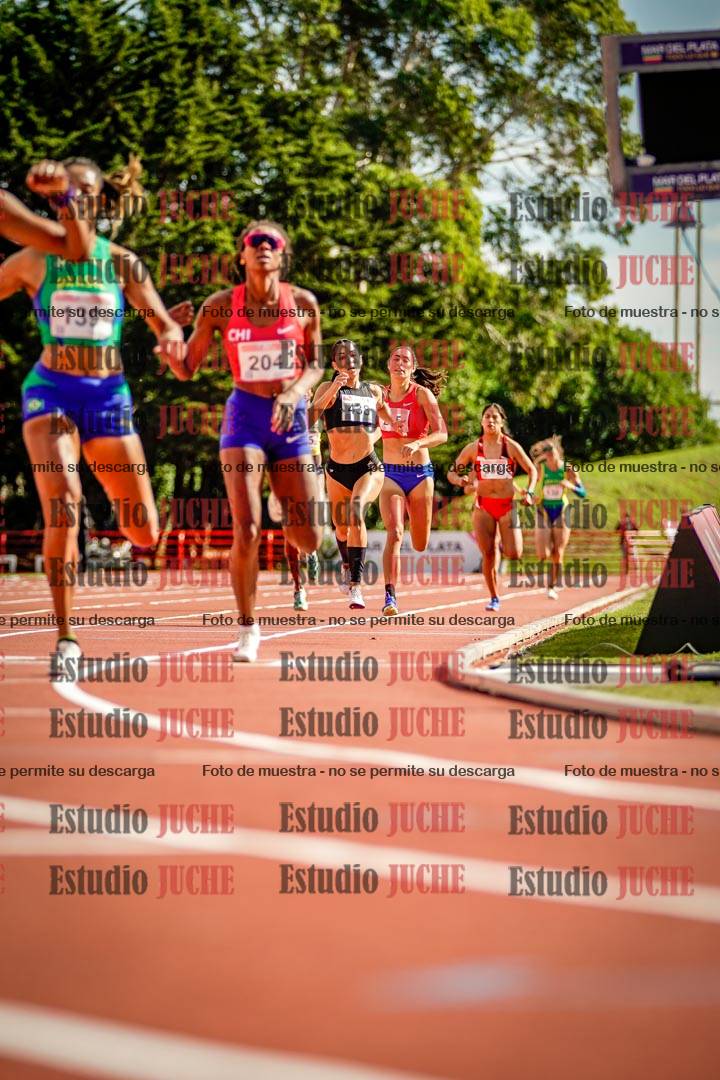 Fotos de los 800 m llanos de mujeres - FINAL