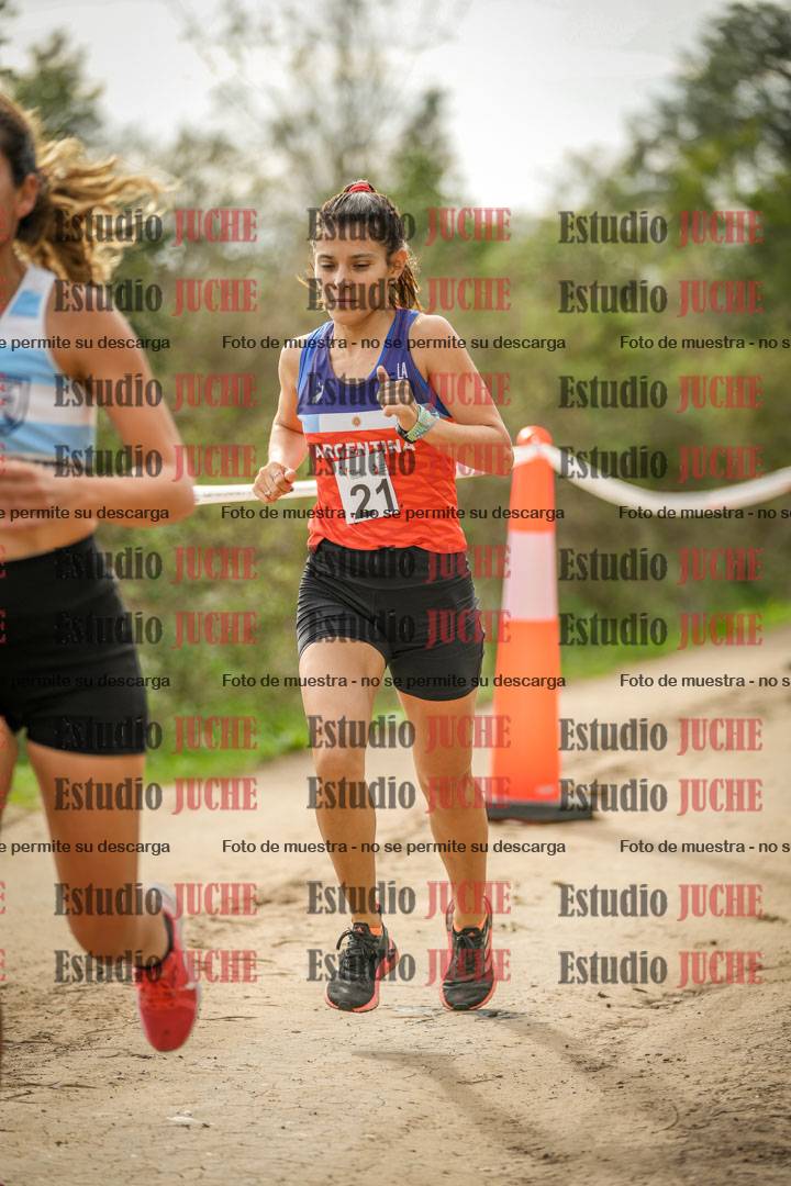 Fotos en el circuito