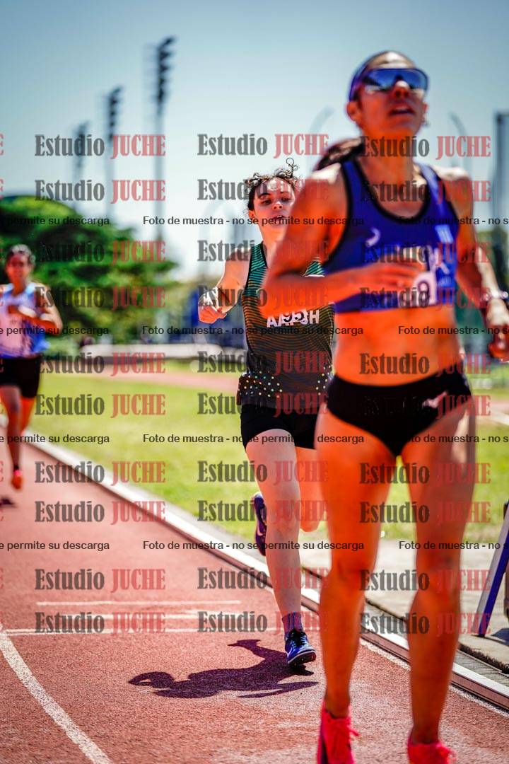 Fotos de los 800 m llanos de mujeres