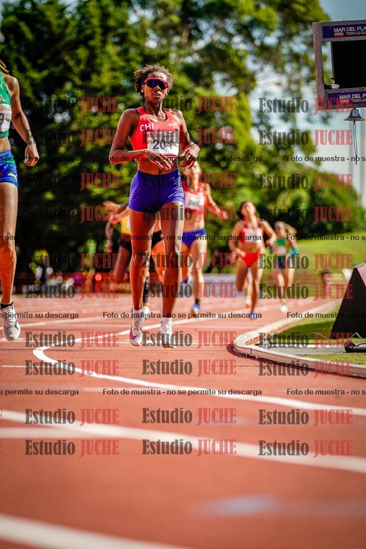 Fotos de los 800 m llanos de mujeres - FINAL