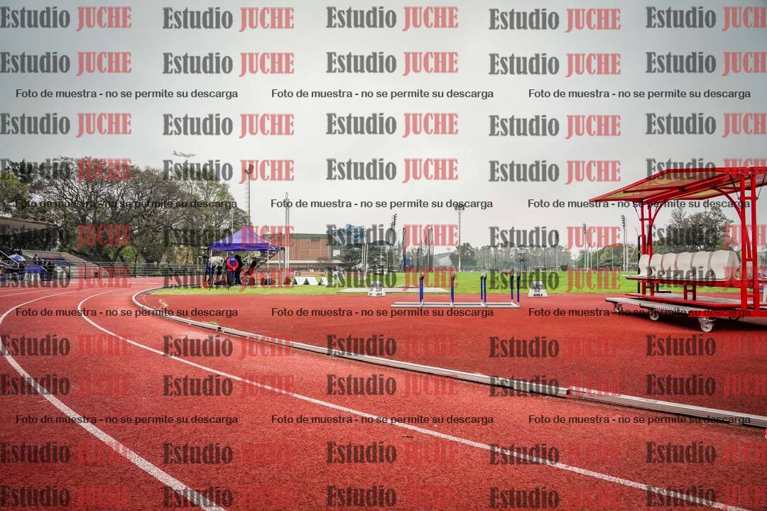 Fotos de los 800 m llanos de varones