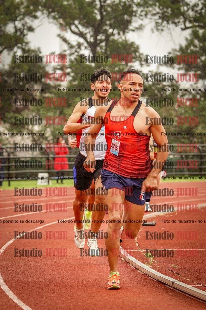 Fotos de los 800 m llanos de varones