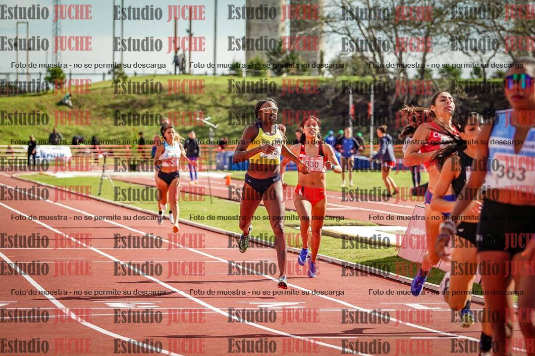 Fotos de los 800 m llanos de mujeres - FINAL