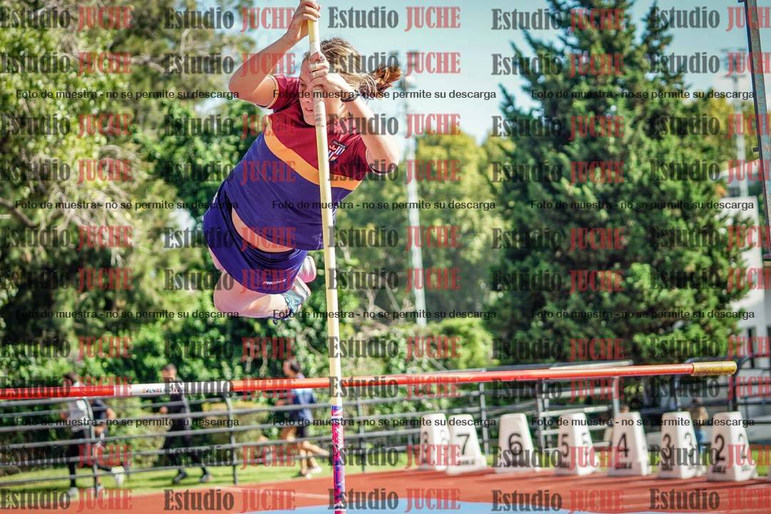 Fotos del salto con garrocha de mujeres y varones