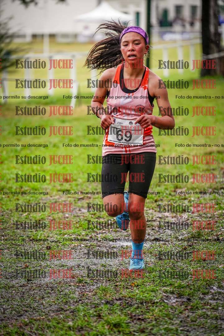 Fotos en el circuito