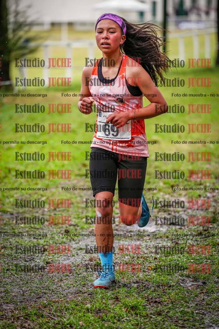 Fotos en el circuito