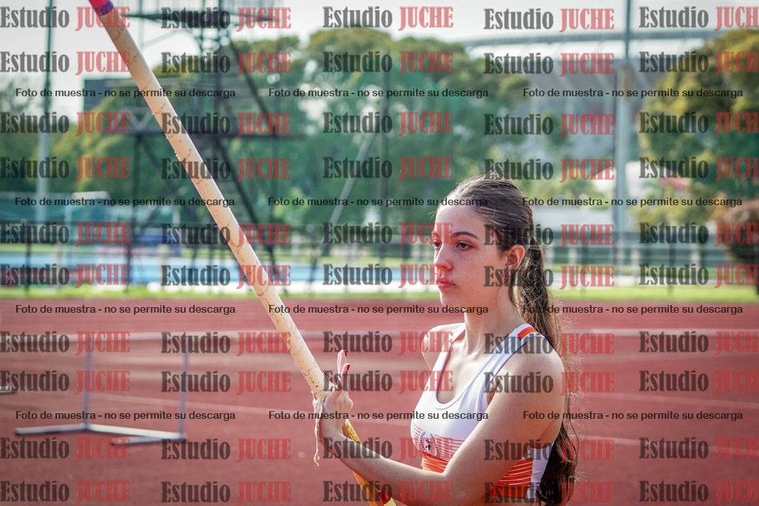 Fotos del salto con garrocha de mujeres y varones