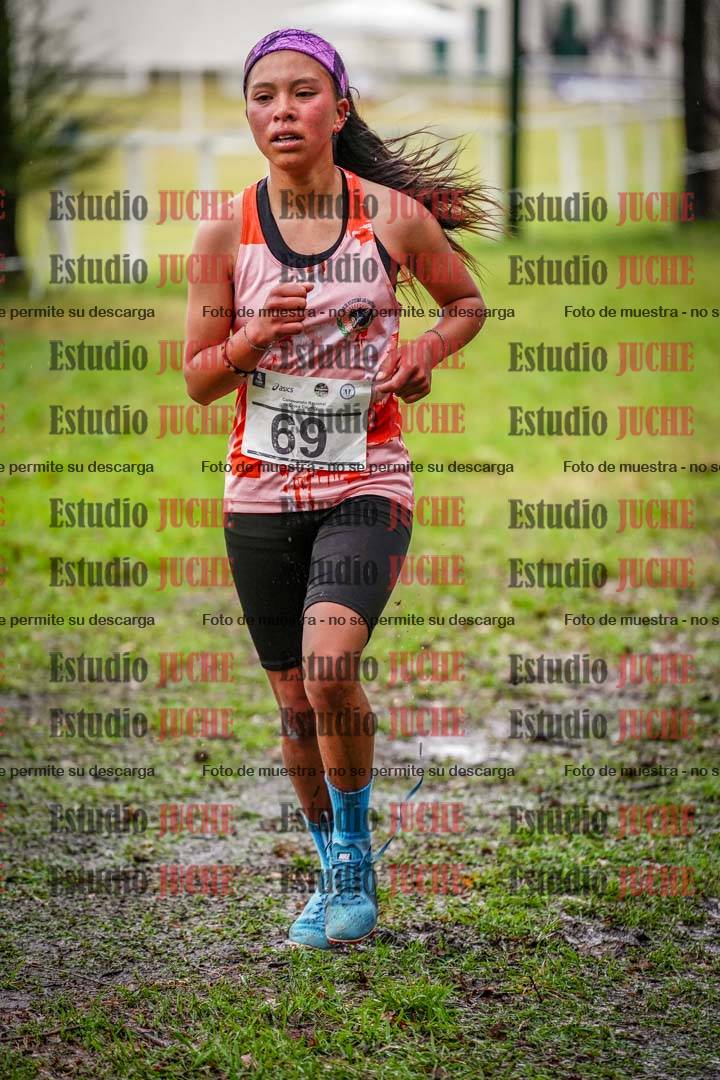 Fotos en el circuito