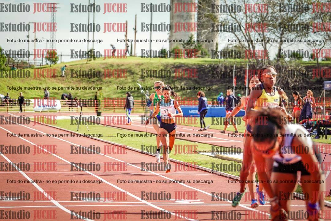 Fotos de los 800 m llanos de mujeres - FINAL