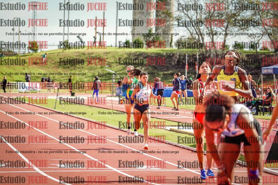 Fotos de los 800 m llanos de mujeres - FINAL