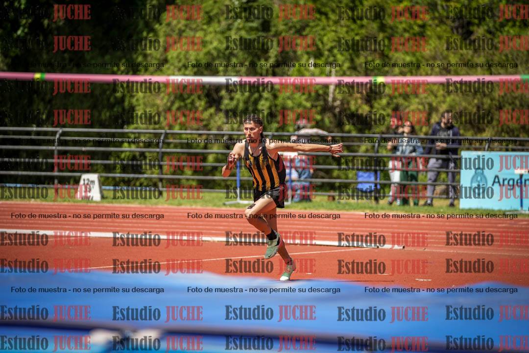 Fotos del salto en alto de varones