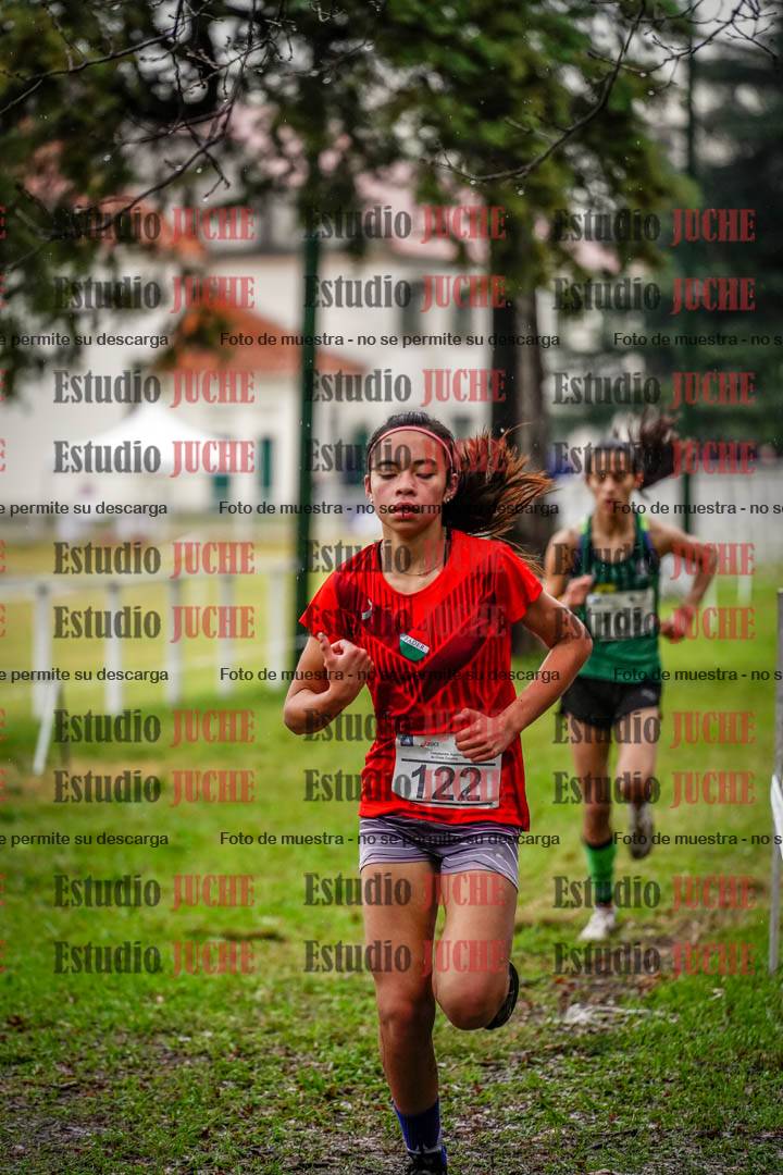 Fotos en el circuito