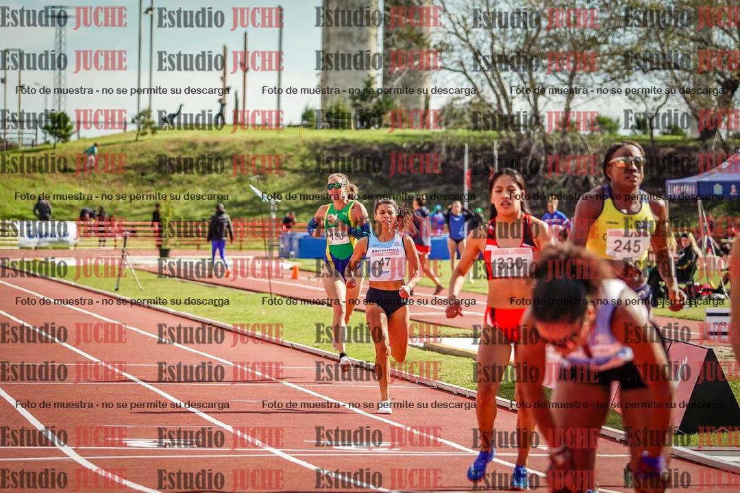 Fotos de los 800 m llanos de mujeres - FINAL