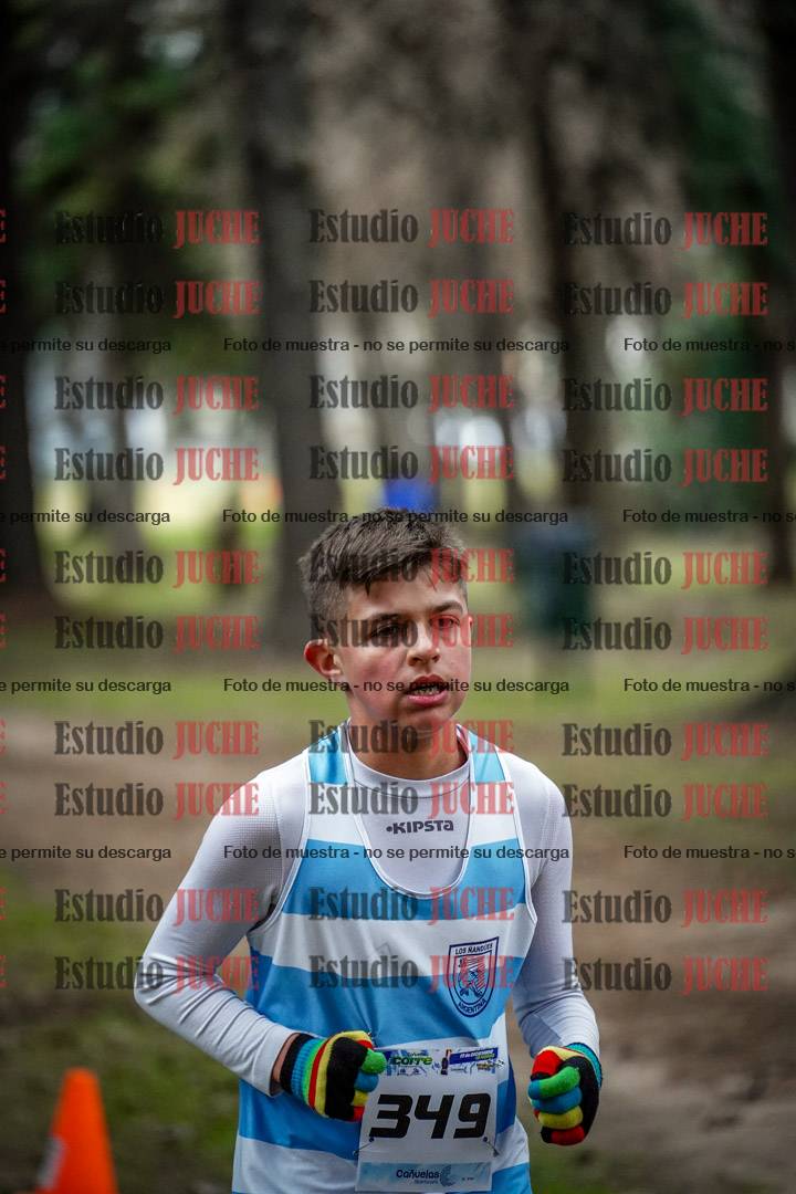 Fotos en el circuito