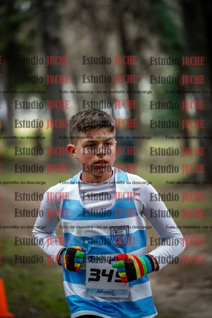 Fotos en el circuito