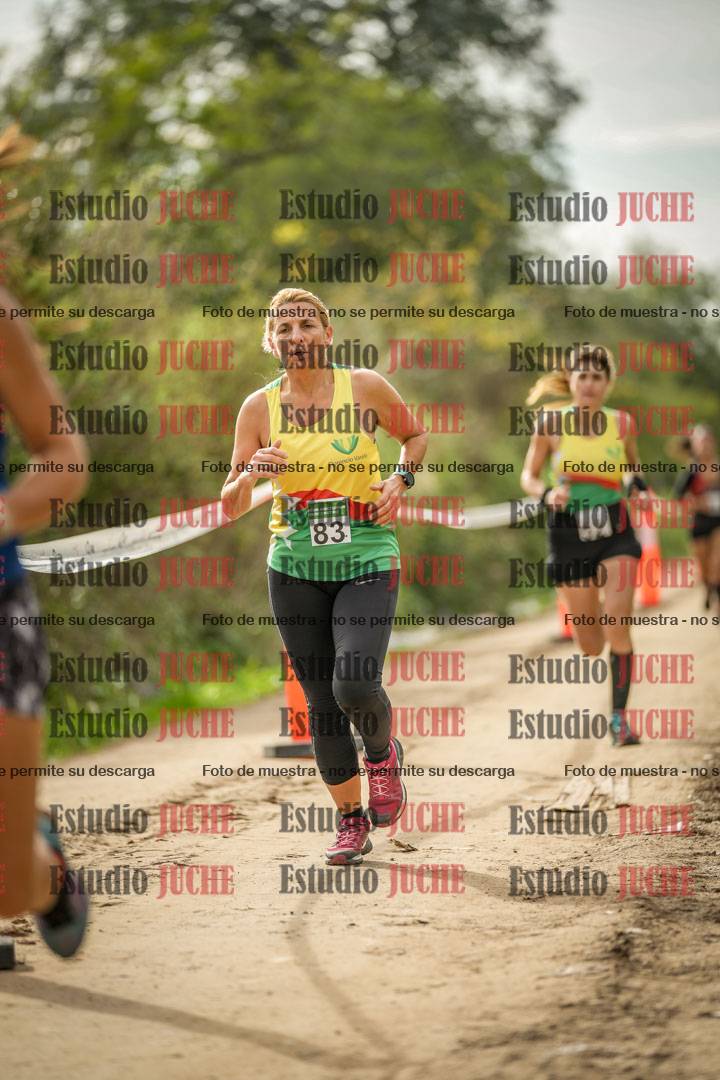 Fotos en el circuito