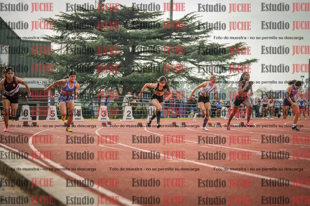 Fotos de los 100 m llanos de mujeres