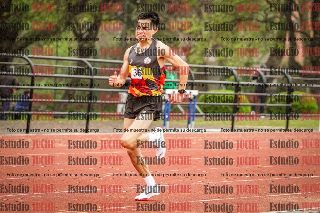 Fotos de los 800 m llanos de varones
