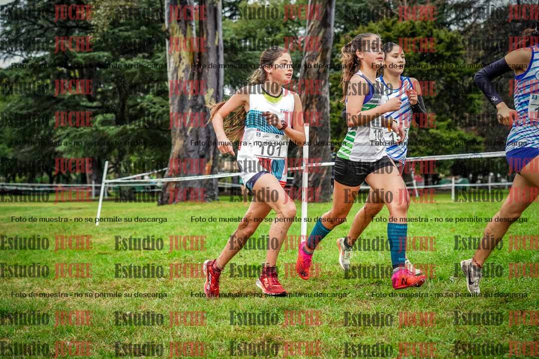 Fotos en el circuito