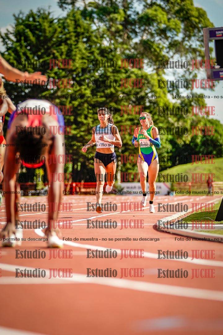 Fotos de los 800 m llanos de mujeres - FINAL