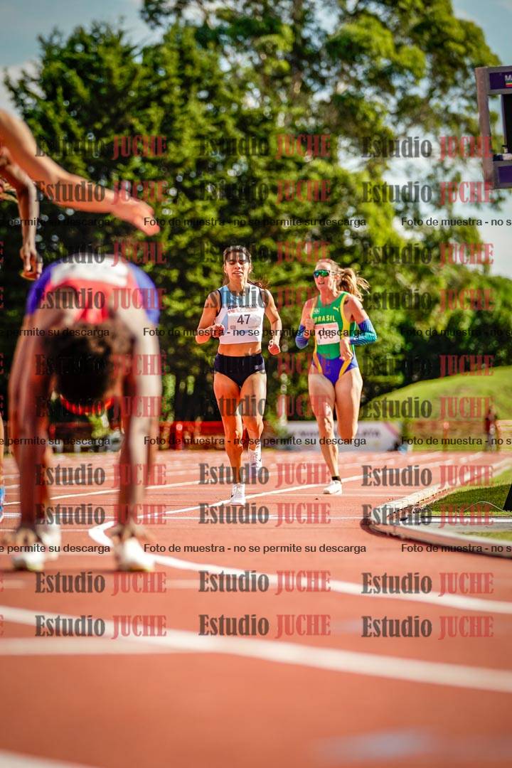 Fotos de los 800 m llanos de mujeres - FINAL