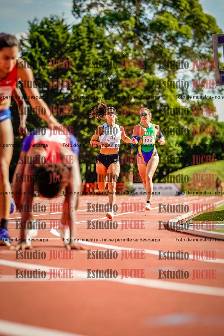 Fotos de los 800 m llanos de mujeres - FINAL