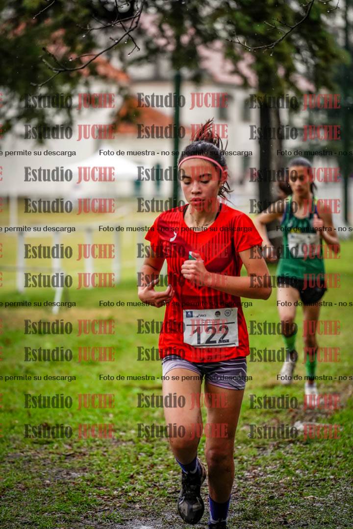 Fotos en el circuito