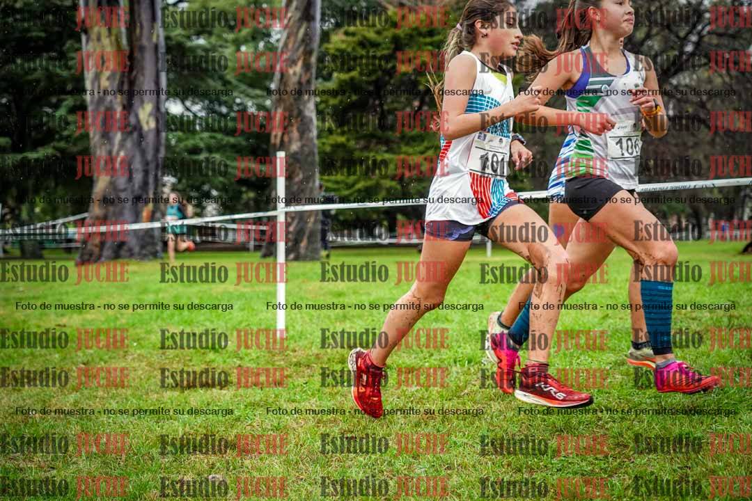 Fotos en el circuito