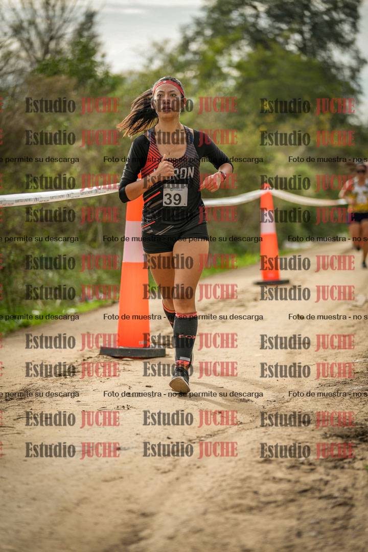 Fotos en el circuito