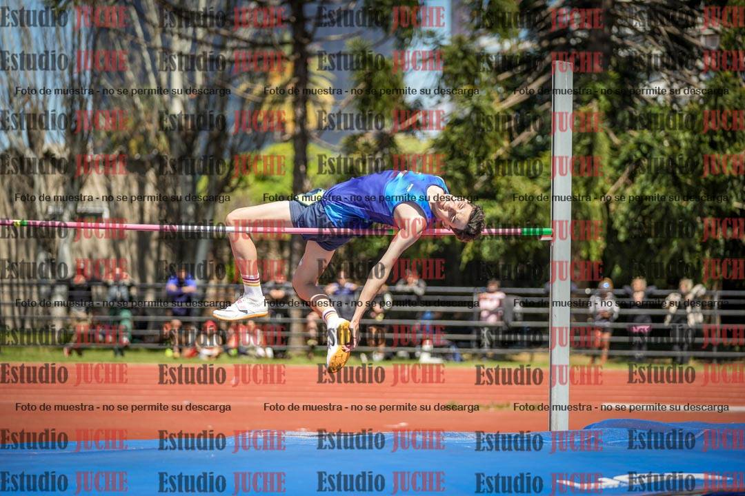 Fotos del salto en alto de varones