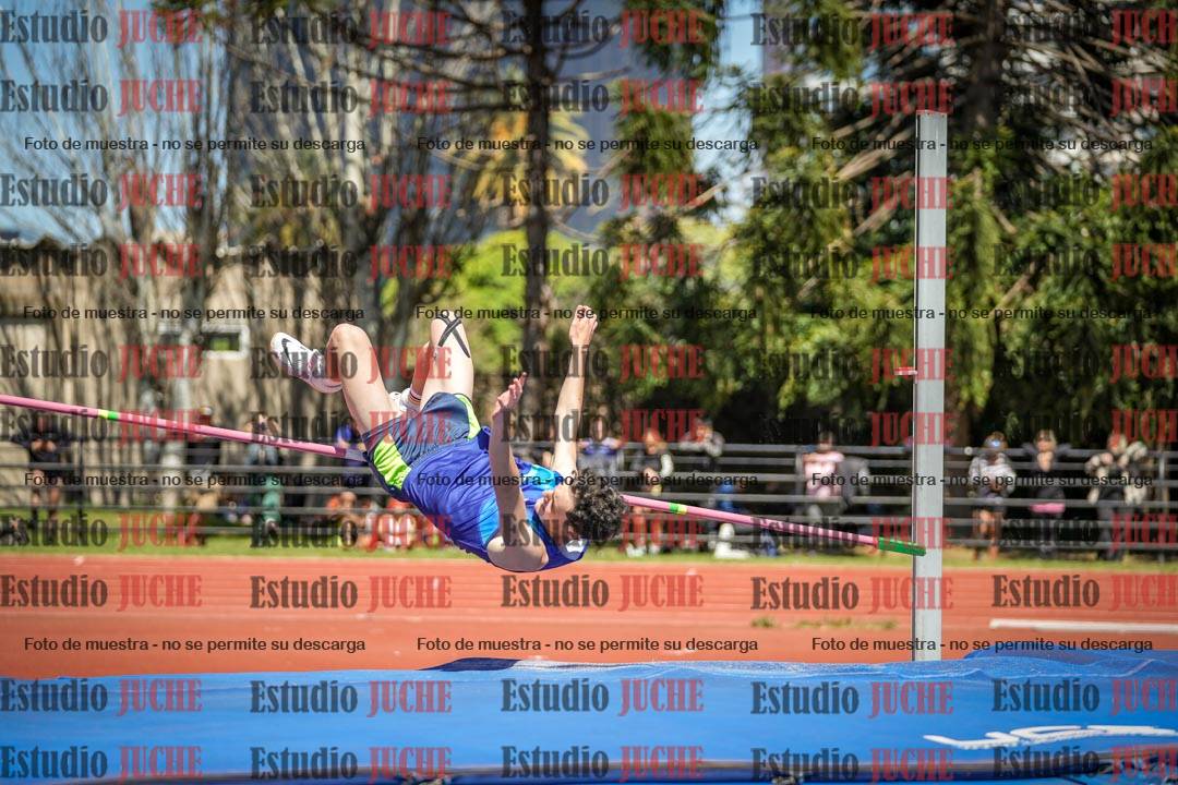 Fotos del salto en alto de varones