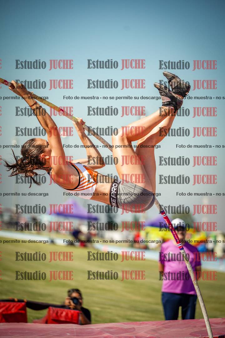 Fotos del salto con garrocha de mujeres y varones